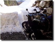 quad su neve